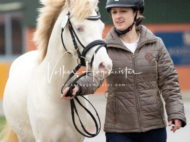 ZfdP Körung Luhmühlen 25