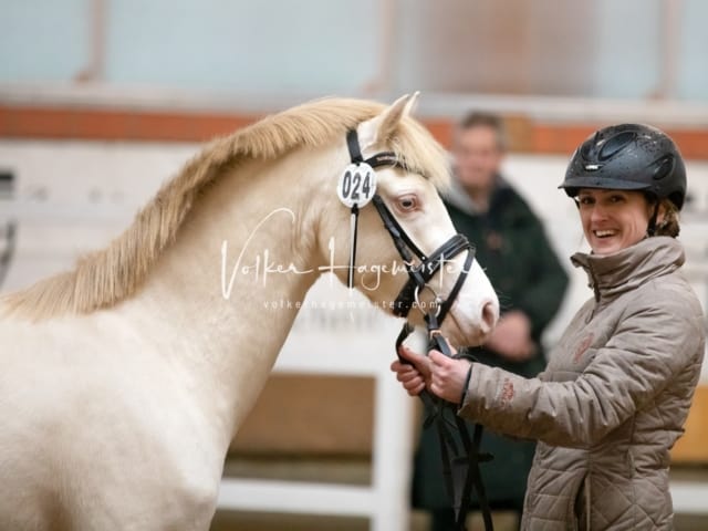 ZfdP Körung Luhmühlen 28