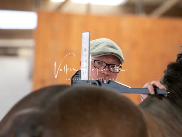 ZfdP Sommerkörung 1