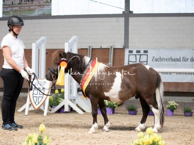 ZfdP Sommerkörung 27