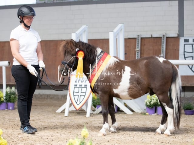 ZfdP Sommerkörung 29