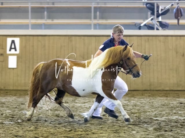 Impressionen Eliteschau 2023 1