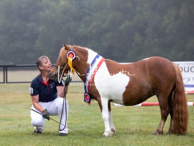 Impressionen Eliteschau 2023 3