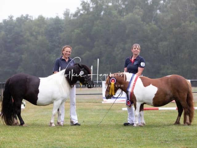 Impressionen Eliteschau 2023 17