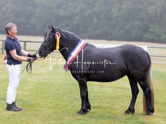 Impressionen Eliteschau 2023 23