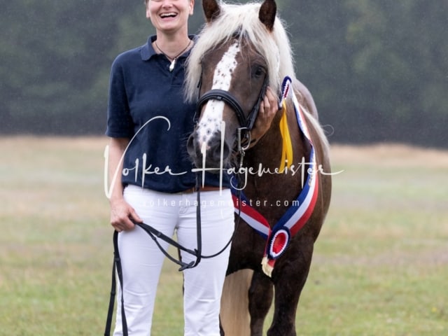 Impressionen Eliteschau 2023 30