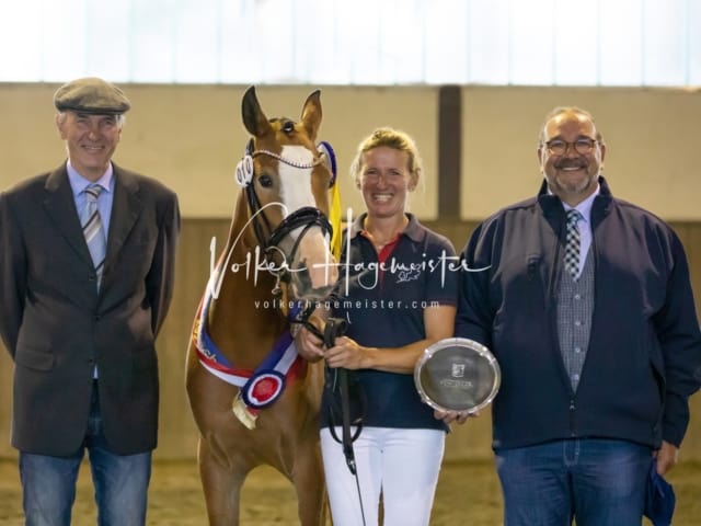 Impressionen Eliteschau 2023 3