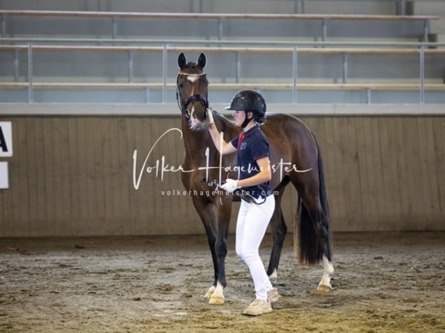 Impressionen Eliteschau 2023 30