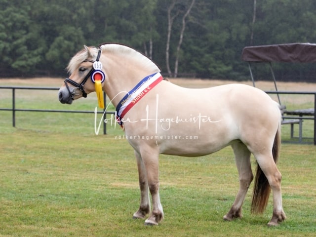 Impressionen Eliteschau 2023 6