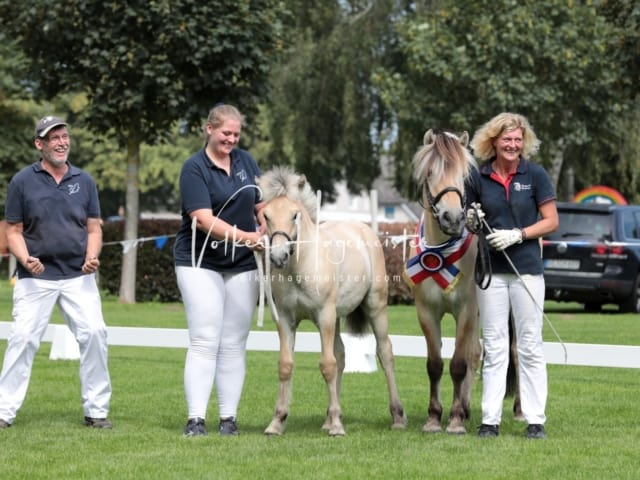 Fohlenchampionat Sieger Ring 2 10