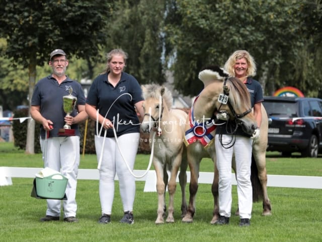 Fohlenchampionat Sieger Ring 2 11