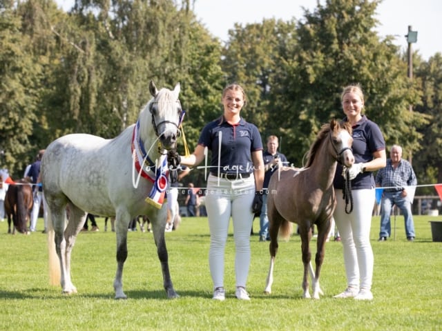 Fohlenchampionat Sieger Ring 2 25