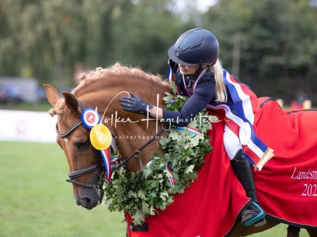 Landesponyturnier Sonntag 3