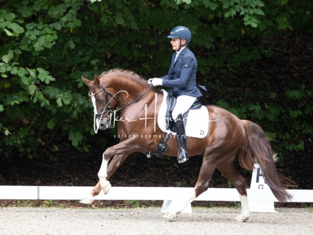 Landesponyturnier Samstag 1