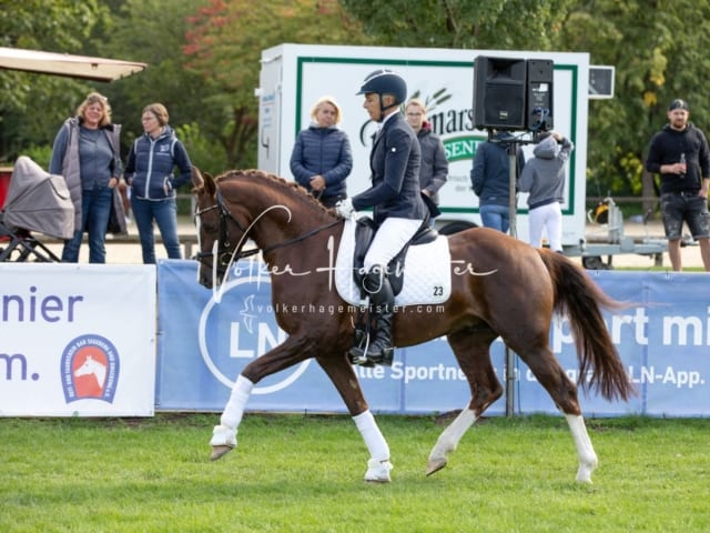 Landesponyturnier Samstag 3