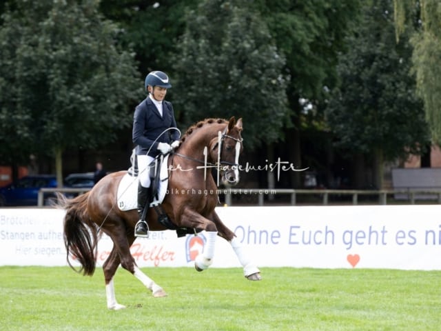 Landesponyturnier Samstag 4