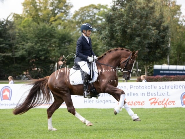 Landesponyturnier Samstag 6