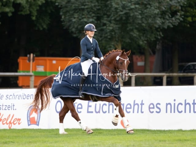 Landesponyturnier Samstag 7