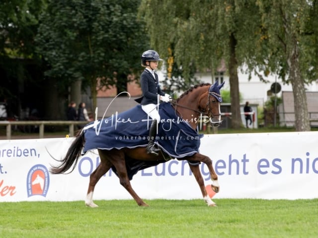 Landesponyturnier Samstag 8