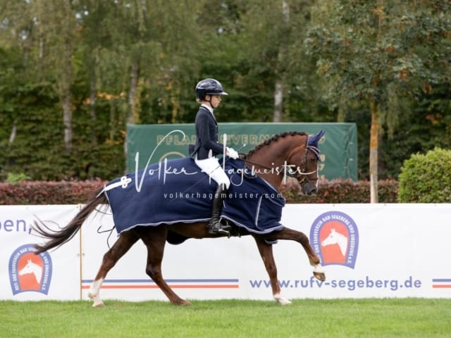 Landesponyturnier Samstag 10