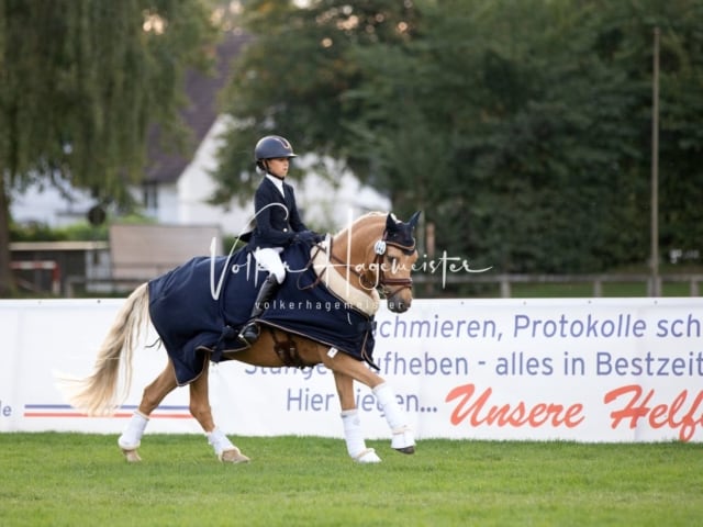 Landesponyturnier Samstag 11