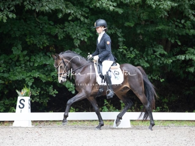 Landesponyturnier Samstag 12