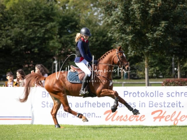 Landesponyturnier Samstag 13