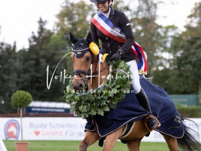 Landesponyturnier Sonntag 7