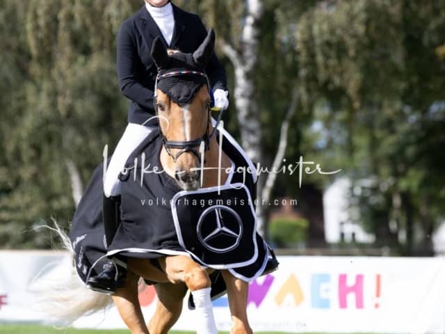 Landesponyturnier Sonntag 11