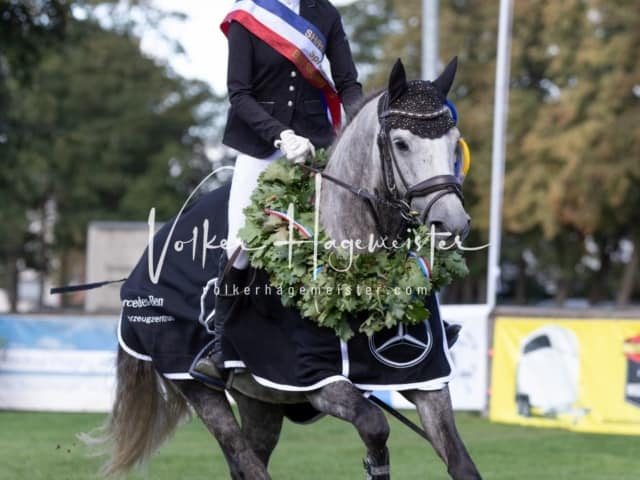 Landesponyturnier Sonntag 14