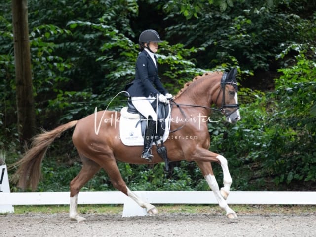 Landesponyturnier Samstag 16