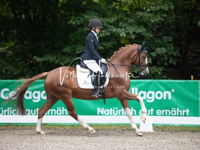 Landesponyturnier Samstag 17