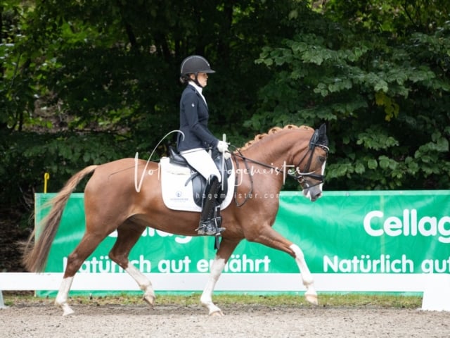 Landesponyturnier Samstag 19