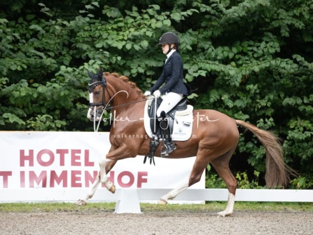 Landesponyturnier Samstag 20