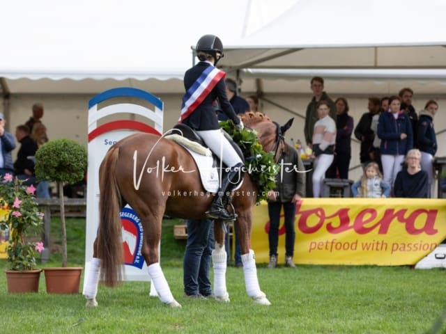 Landesponyturnier Samstag 22