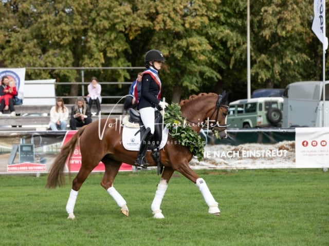 Landesponyturnier Samstag 24