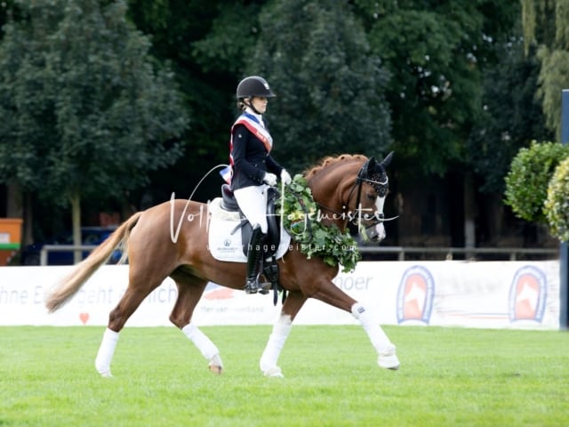 Landesponyturnier Samstag 26