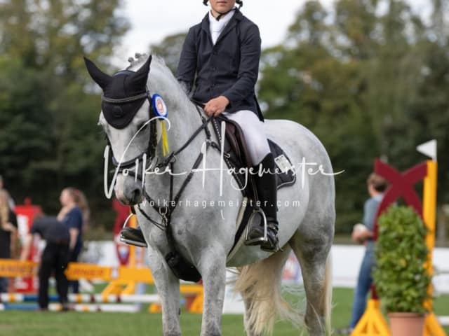 Landesponyturnier Sonntag 16