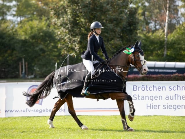 Landesponyturnier Samstag 29