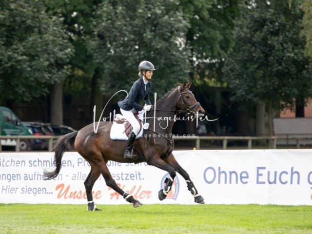 Landesponyturnier Samstag 2