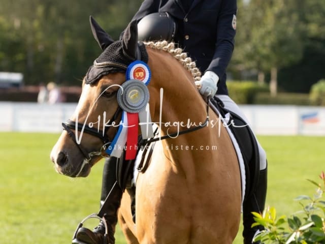 Landesponyturnier Samstag 4