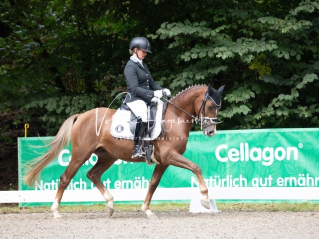 Landesponyturnier Samstag 6