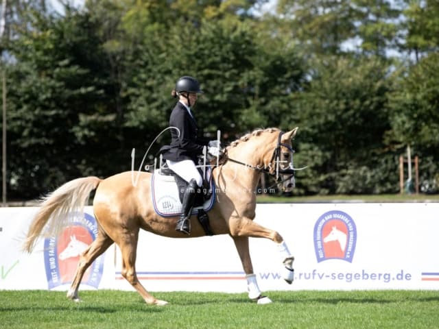 Landesponyturnier Sonntag 25