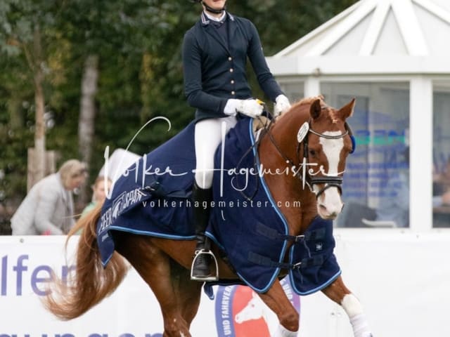 Landesponyturnier Samstag 24