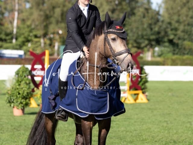 Landesponyturnier Sonntag 27