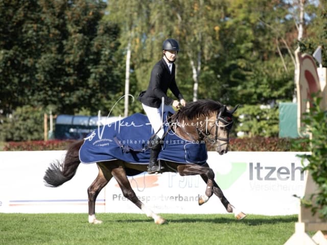 Landesponyturnier Sonntag 28