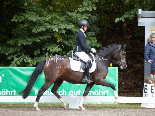 Landesponyturnier Samstag 23