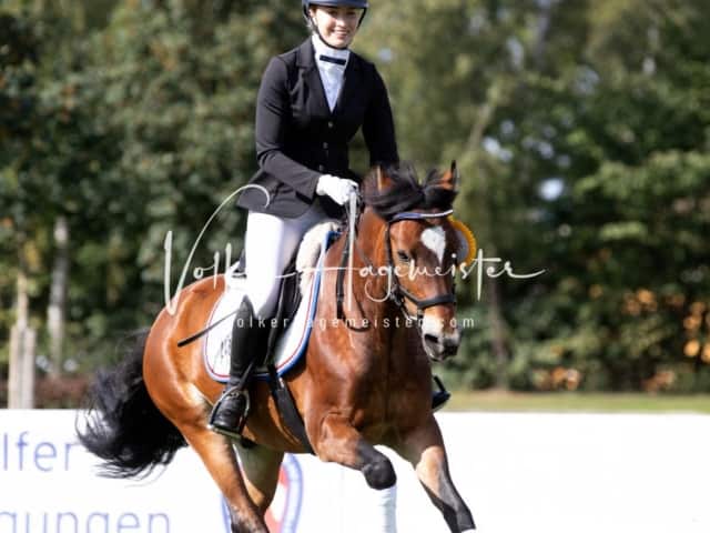 Landesponyturnier Sonntag 30