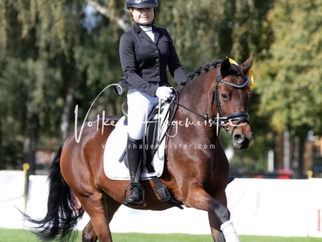 Landesponyturnier Sonntag 1