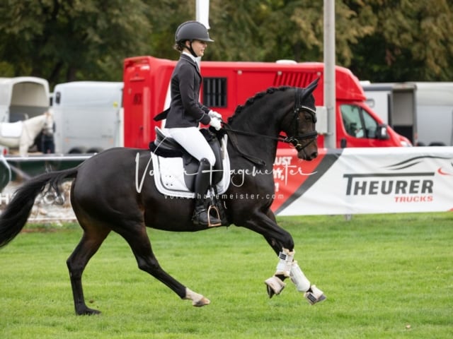 Landesponyturnier Samstag 26